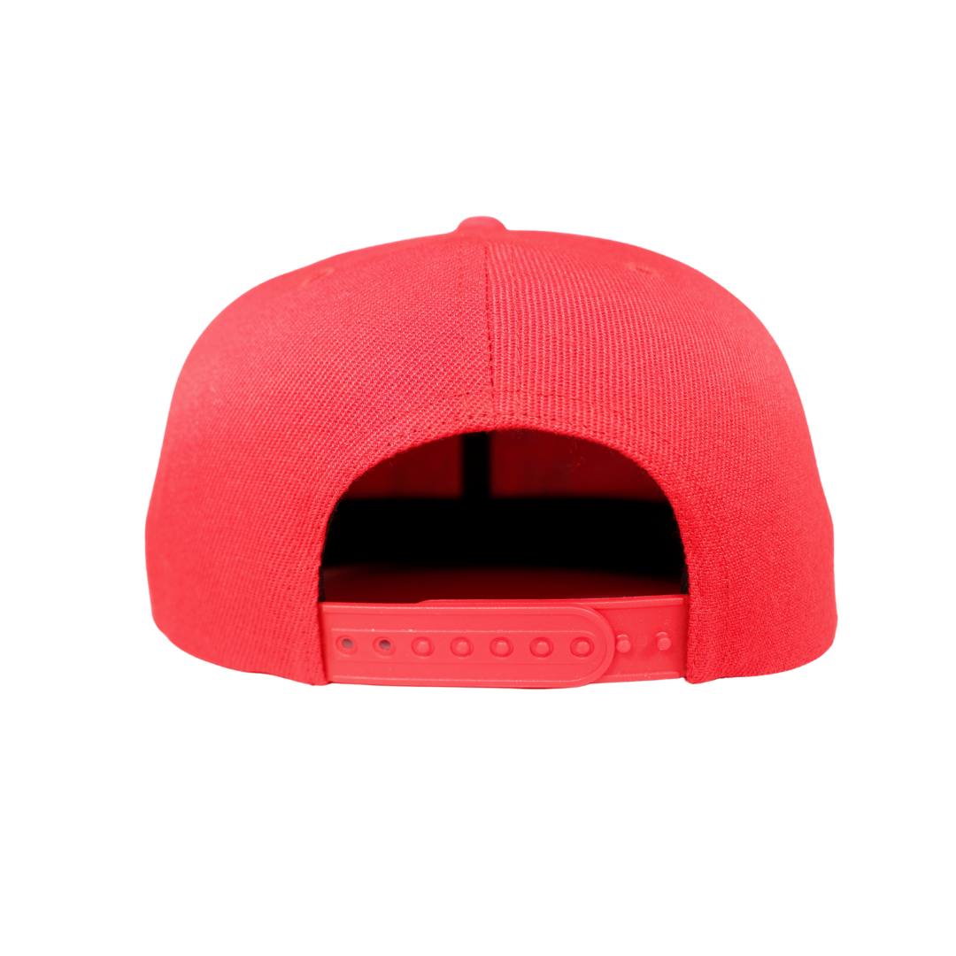 High Friends Club Drippy Logo Red Snapback Hat Rear View